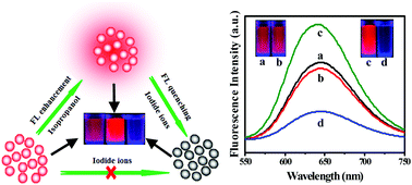 Graphical abstract: Silver nanoclusters with enhanced fluorescence and specific ion recognition capability triggered by alcohol solvents: a highly selective fluorimetric strategy for detecting iodide ions in urine