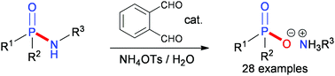 Graphical abstract: o-Phthalaldehyde catalyzed hydrolysis of organophosphinic amides and other P( [[double bond, length as m-dash]] O)–NH containing compounds