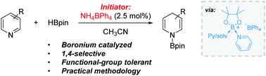 Graphical abstract: Regioselective 1,4-hydroboration of pyridines catalyzed by an acid-initiated boronium cation