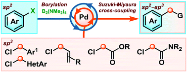 Graphical abstract: One-pot borylation/Suzuki–Miyaura sp2–sp3 cross-coupling