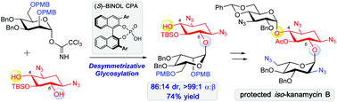 Graphical abstract: Chiral phosphoric acid-catalyzed desymmetrizative glycosylation of 2-deoxystreptamine and its application to aminoglycoside synthesis