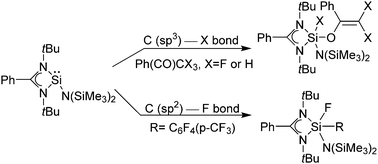 Graphical abstract: C(sp3)–F, C(sp2)–F and C(sp3)–H bond activation at silicon(ii) centers