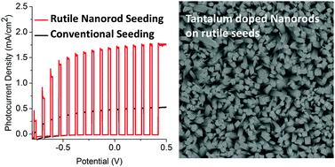 Graphical abstract: Optimized FTO seeding enables the growth of highlyefficient Ta-doped TiO2 nanorod photoanodes