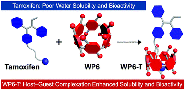 Graphical abstract: Enhancing the solubility and bioactivity of anticancer drug tamoxifen by water-soluble pillar[6]arene-based host–guest complexation