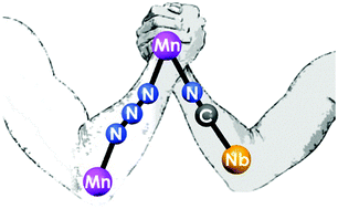 Graphical abstract: Cyanide vs. azide “magnetic arm wrestling”: MnII–NbIV and MnII–MoIV magnetic coordination polymers with mixed bridging