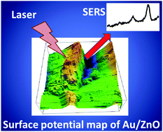 Graphical abstract: Surface potential and morphology mapping to investigate analyte adsorption effects on surface enhanced Raman scattering (SERS)