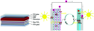 Graphical abstract: Carbon quantum dot tailored counter electrode for 7.01%-rear efficiency in a bifacial dye-sensitized solar cell