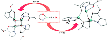 Graphical abstract: Oxygenation of RZn(N,O)-type complexes as an efficient route to zinc alkoxides not accessible via the classical alcoholysis path