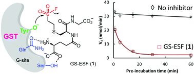 Graphical abstract: A covalent G-site inhibitor for glutathione S-transferase Pi (GSTP1-1)