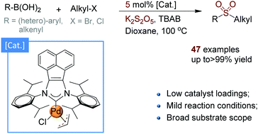 Graphical abstract: Pd(NHC)-catalyzed alkylsulfonylation of boronic acids: a general and efficient approach for sulfone synthesis