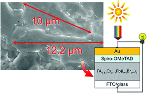 Graphical abstract: Compact layer free mixed-cation lead mixed-halide perovskite solar cells