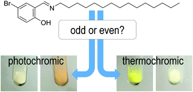 Graphical abstract: Single-crystal UV-vis spectroscopic examination of a striking odd–even effect on structure and chromic behaviour of salicylidene alkylamines