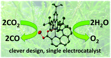 Graphical abstract: Strategic design of a ruthenium catalyst for both CO2 reduction and H2O oxidation: the electronic influence of the co-ligands