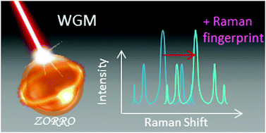 Graphical abstract: ZORRO: zirconium oxide resonators for all-in-one Raman and whispering-gallery-mode optical sensing