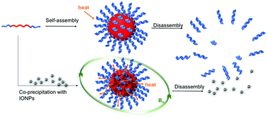 Graphical abstract: Thermo-responsive self-immolative nanoassemblies: direct and indirect triggering