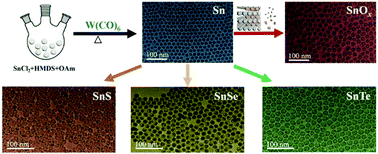 Graphical abstract: Mild synthesis of monodisperse tin nanocrystals and tin chalcogenide hollow nanostructures