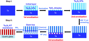 Graphical abstract: Synthesis of free-standing Ta3N5 nanotube membranes and flow-through visible light photocatalytic applications