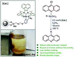 Graphical abstract: A magnetic nanoparticle-supported N-heterocyclic carbene-palladacycle: an efficient and recyclable solid molecular catalyst for Suzuki–Miyaura cross-coupling of 9-chloroacridine