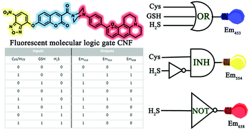 Graphical abstract: A multifunctional logic gate by means of a triple-chromophore fluorescent biothiol probe with diverse fluorescence signal patterns