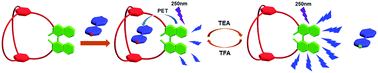 Graphical abstract: Acid/base-controllable fluorescent molecular switches based on cryptands and basic N-heteroaromatics