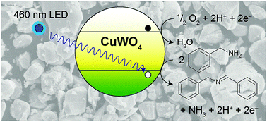 Graphical abstract: CuWO4 as a photocatalyst for room temperature aerobic benzylamine oxidation