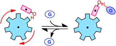 Graphical abstract: Guest control of a hydrogen bond-catalysed molecular rotor