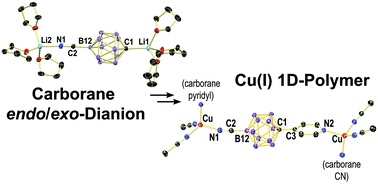 Graphical abstract: Crystal structure of a carborane endo/exo-dianion and its use in the synthesis of ditopic ligands for supramolecular frameworks