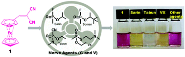 Graphical abstract: Highly selective and sensitive chromogenic detection of nerve agents (sarin, tabun and VX): a multianalyte detection approach