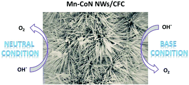 Graphical abstract: Mn doped porous cobalt nitride nanowires with high activity for water oxidation under both alkaline and neutral conditions
