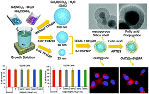 Graphical abstract: TPAOH assisted size-tunable Gd2O3@mSi core–shell nanostructures for multifunctional biomedical applications