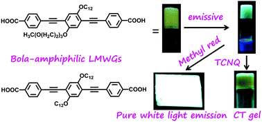 Graphical abstract: Pure white light emission and charge transfer in organogels of symmetrical and unsymmetrical π-chromophoric oligo-p-(phenyleneethynylene) bola-amphiphiles