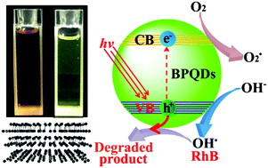 Graphical abstract: Bandgap-tunable black phosphorus quantum dots: visible-light-active photocatalysts