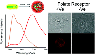 Graphical abstract: Large Stokes-shifted NIR-emission from nanospace-induced aggregation of perylenemonoimide-doped polymer nanoparticles: imaging of folate receptor expression