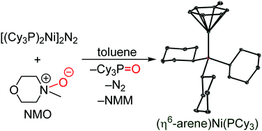 Graphical abstract: Versatile (η6-arene)Ni(PCy3) nickel monophosphine precursors