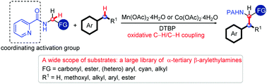Graphical abstract: Manganese/cobalt-catalyzed oxidative C(sp3)–H/C(sp3)–H coupling: a route to α-tertiary β-arylethylamines