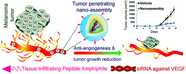Graphical abstract: A lipid-based cell penetrating nano-assembly for RNAi-mediated anti-angiogenic cancer therapy