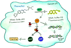 Graphical abstract: A small molecule for theraNOstic targeting of cancer cells