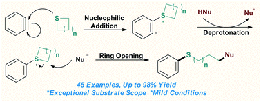 Graphical abstract: Diverse ring opening of thietanes and other cyclic sulfides: an electrophilic aryne activation approach