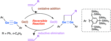 Graphical abstract: Reversible addition of terminal alkenes to digermynes