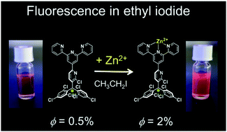 Graphical abstract: Cation-responsive turn-on fluorescence and absence of heavy atom effects of pyridyl-substituted triarylmethyl radicals