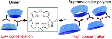 Graphical abstract: A thermoresponsive supramolecular polymer gel from a heteroditopic calix[4]pyrrole