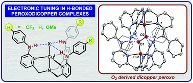 Graphical abstract: Phenylamino derivatives of tris(2-pyridylmethyl)amine: hydrogen-bonded peroxodicopper complexes