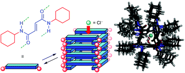 Graphical abstract: Self-assembly of small-molecule fumaramides allows transmembrane chloride channel formation