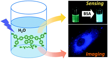 Graphical abstract: A highly fluorescent water soluble spirobifluorene dye with a large Stokes shift: synthesis, characterization and bio-applications