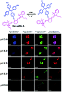 Graphical abstract: A cyanine-based fluorescent cassette with aggregation-induced emission for sensitive detection of pH changes in live cells