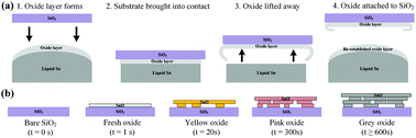 Graphical abstract: Evolution of 2D tin oxides on the surface of molten tin