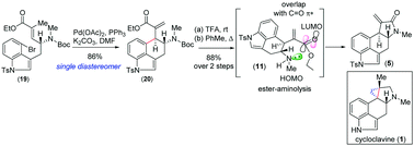 Graphical abstract: Catalytic asymmetric formal total syntheses of (+)- and (−)-cycloclavine