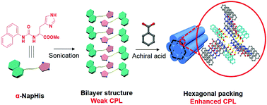 Graphical abstract: Achiral non-fluorescent molecule assisted enhancement of circularly polarized luminescence in naphthalene substituted histidine organogels