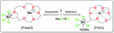 Graphical abstract: Interplay of Lewis acidity, intramolecular O→Sn interactions and selectivity: organotin-functionalized crown ethers as ditopic hosts for sodium and potassium halides