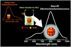 Graphical abstract: Near-infrared electrochemiluminescence from orange fluorescent Au nanoclusters in water